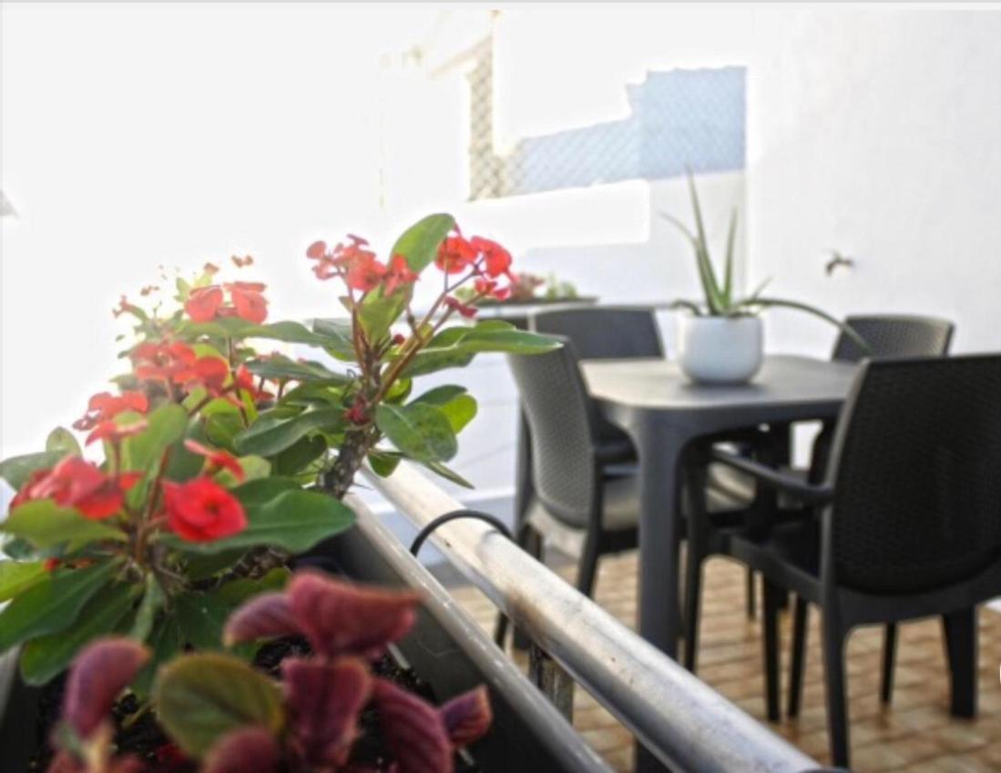 Casa Azul D'Altamira Appartement Viana do Castelo Buitenkant foto